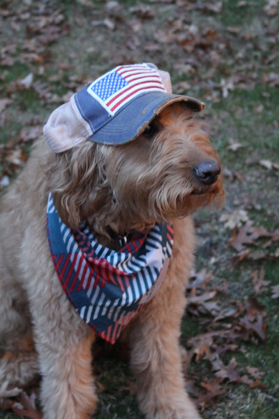 Star Hat, Red, White and Blue Hat